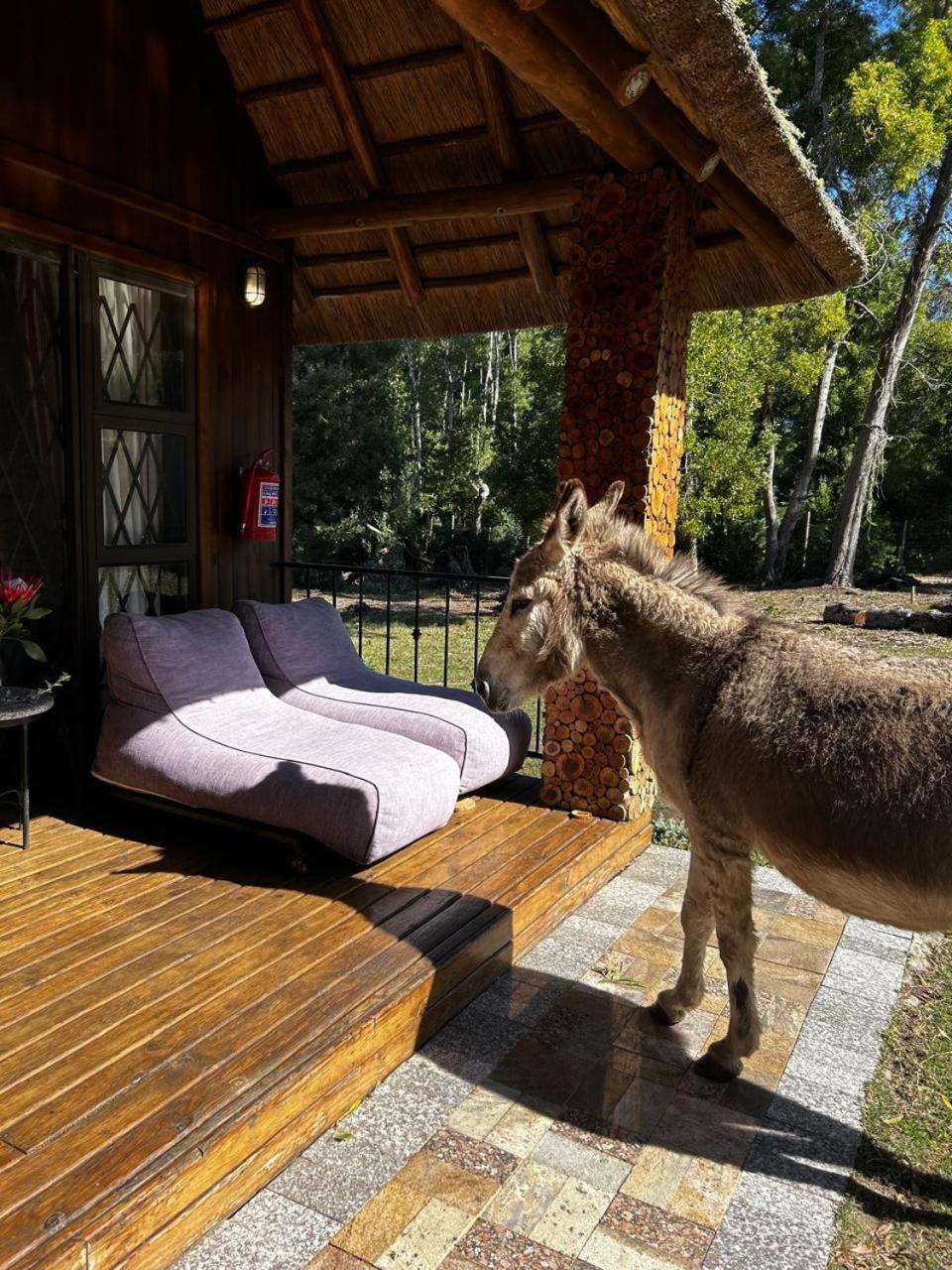 Shabby Fufu Lifestyle Farm Villa Plettenbergbaai Buitenkant foto